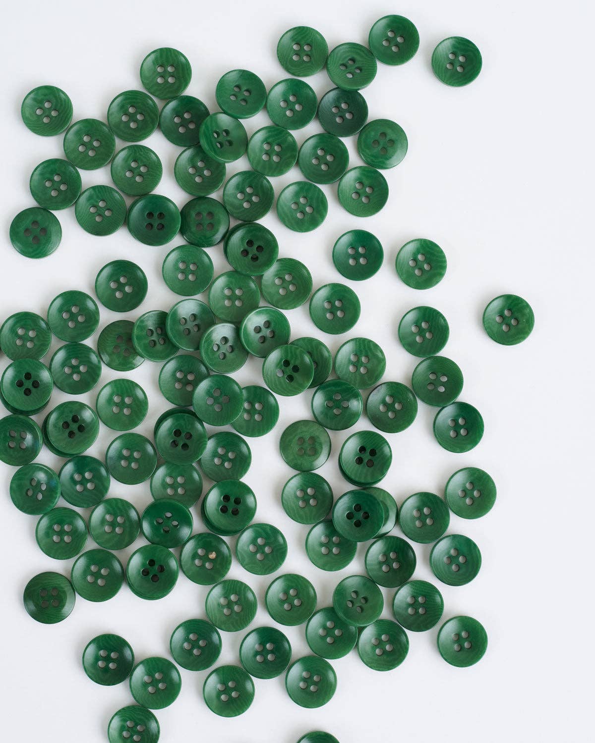 Juniper 1/2" Corozo Nut Buttons: Set of 8