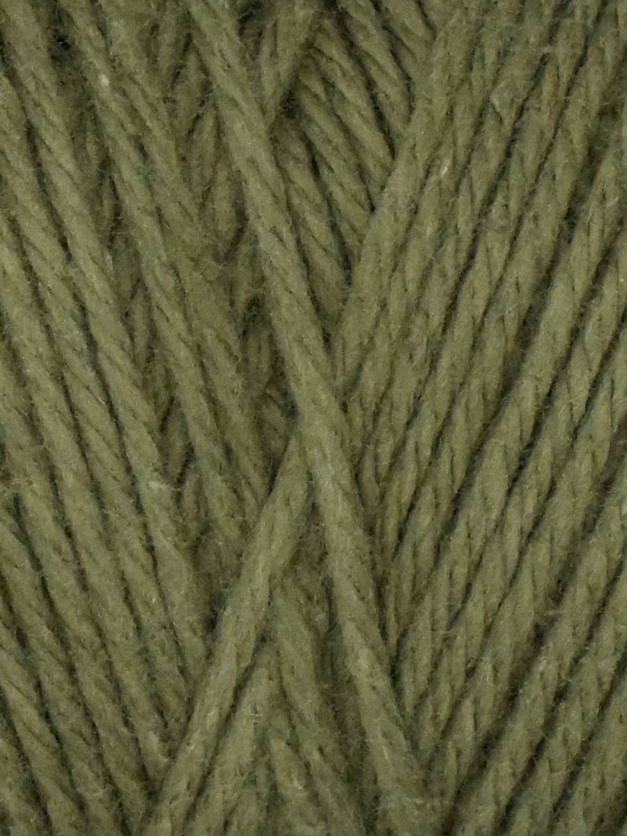 Coastal Cotton Yarn in Moss