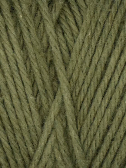Coastal Cotton Yarn in Moss