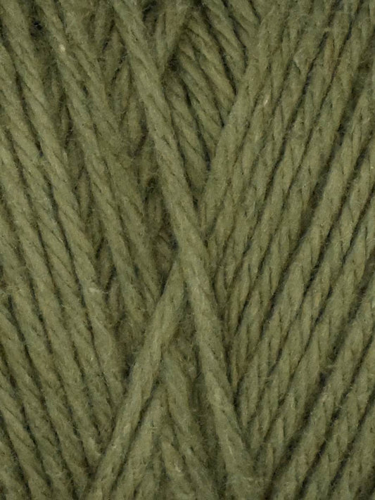 Coastal Cotton Yarn in Moss