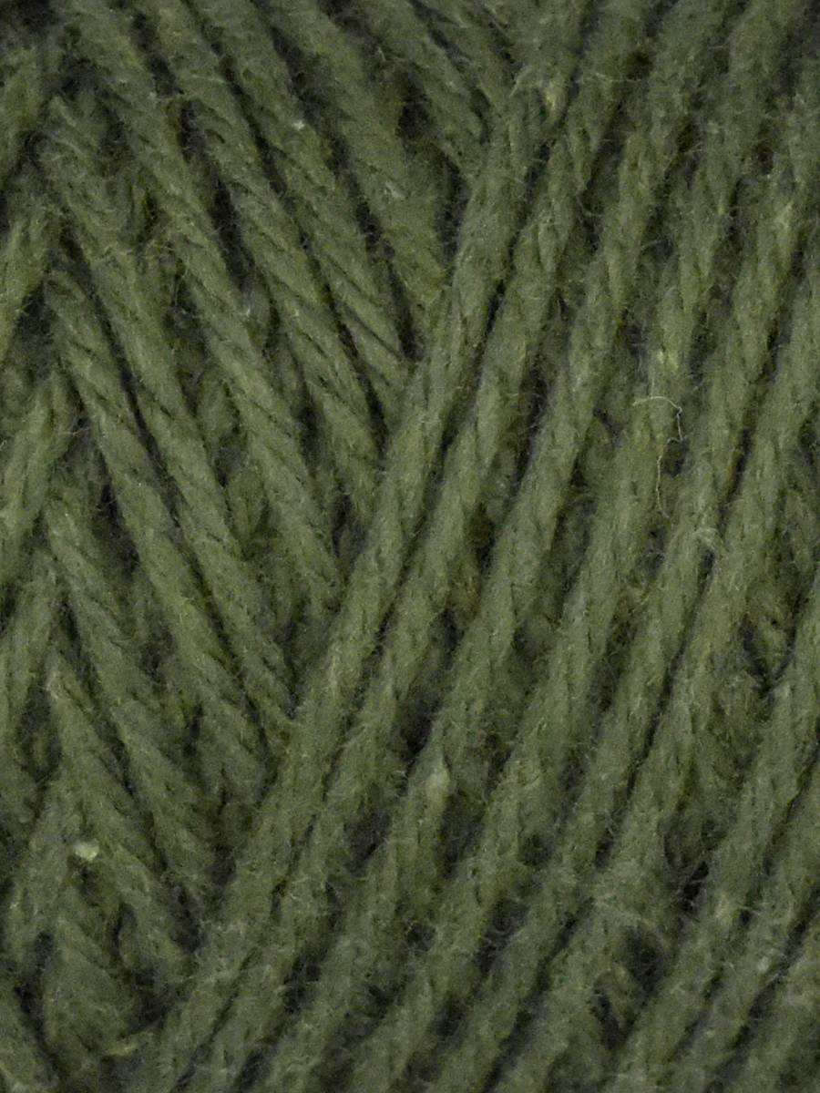 Coastal Cotton Yarn in Seaweed