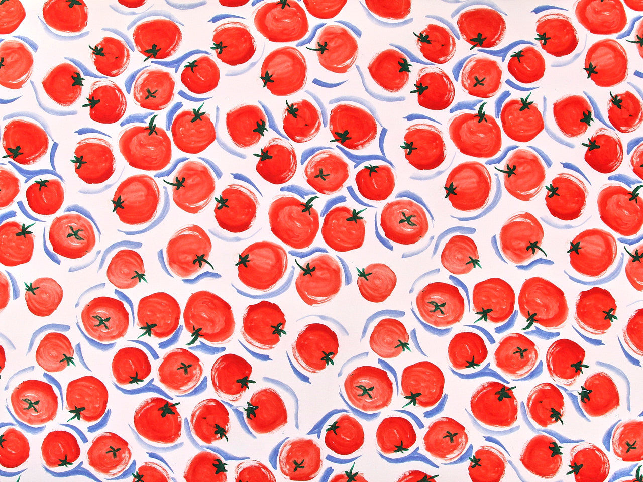 Tomato Stretch Denim in Off White