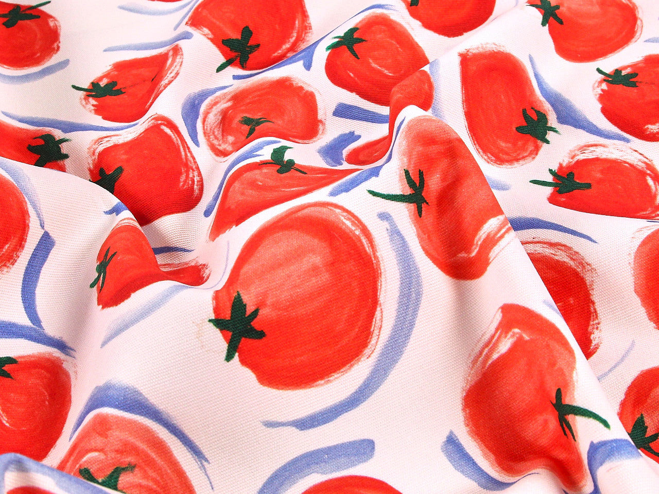 Tomato Stretch Denim in Off White