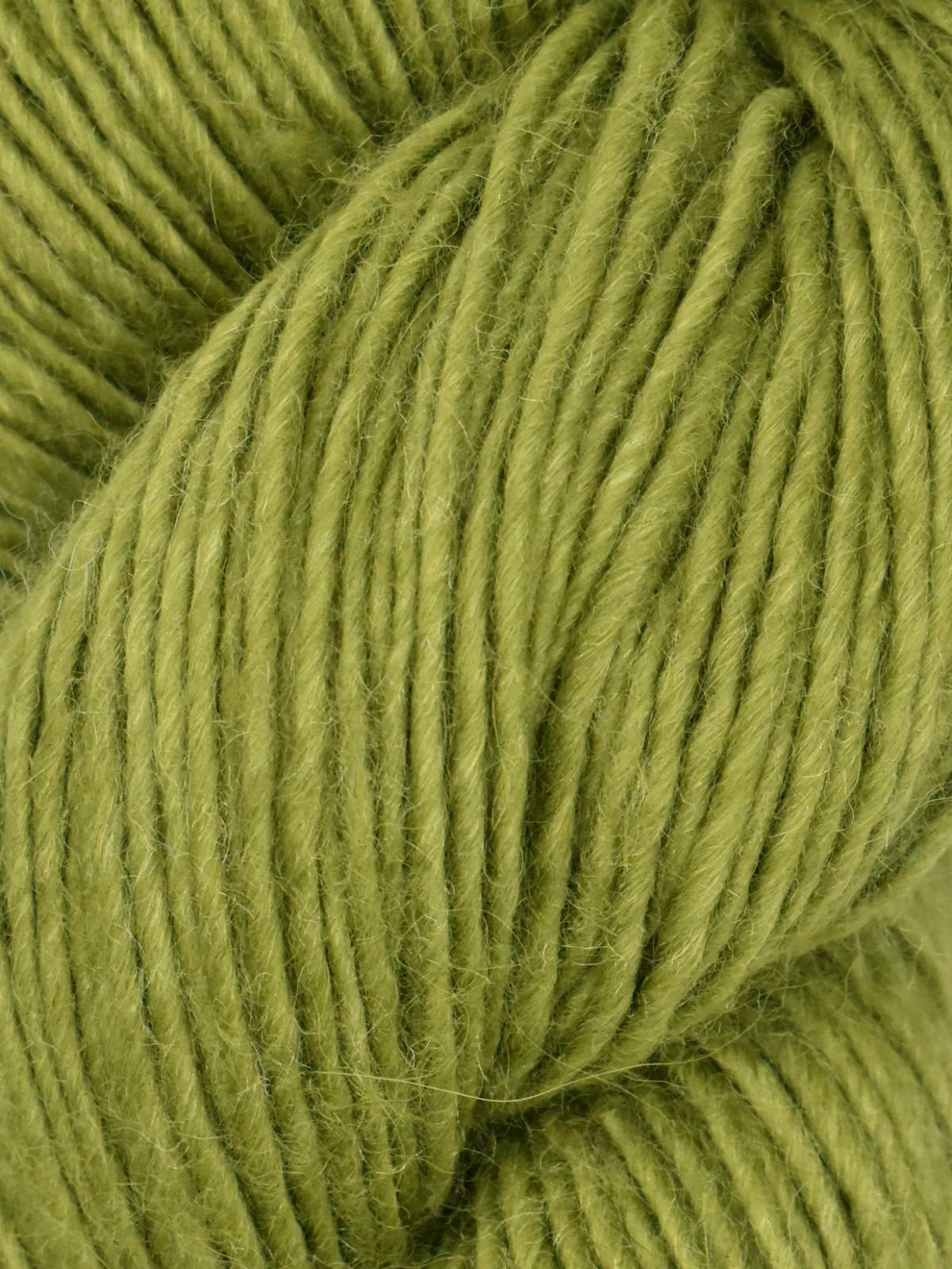 Moonshine Worsted Weight Yarn in Ivy